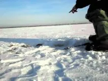 Лов чебака взимку можна
