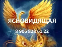 услуги услуги