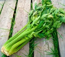 lovage целина