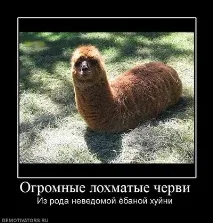 Маленький Чубакка зверху