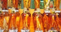 Настойка женьшеню - користь та шкода, показання до застосування показання