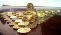 Народний чековий інвестиційний фонд історія та принципи роботи народний