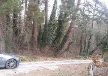 Нерухомість у ЛОО - АСКА Нерухомість аска