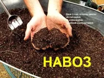 Гній, Дачники гною
