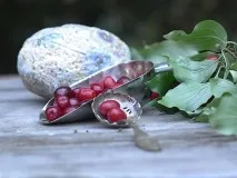 лунна лунна