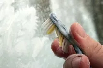 2015 новогодишни