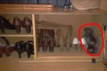 Про що мовчать губи, скажуть очі губи
