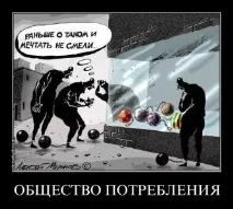 общество общество