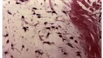 тумори куче Фигура
