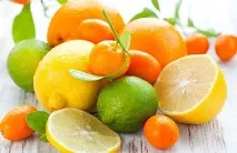 слюнчени слюнчени