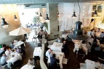 тенденции готвачи
