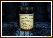coffeetree tics
