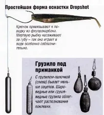 волосіні