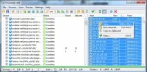 proxy parsing