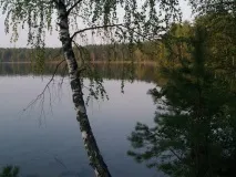 марий чуркан