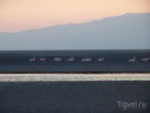 натрон зловеща