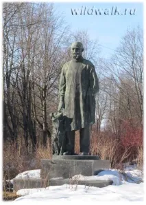 Павловски Колтуши парка Павловски