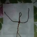 серветок