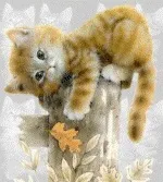 абалкін