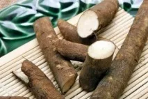 Користь кореня лопуха кореня