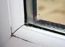 плачат защо