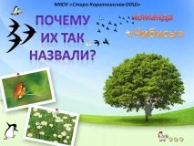 Имена птици Защо били