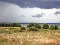 цілий