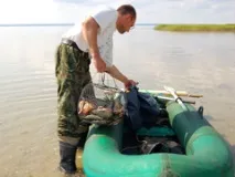 цілий