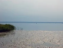 плещеєве