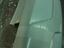 отстраняване мухъл
