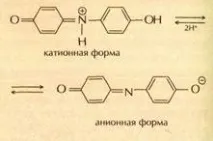 При переході від кислого середовища до лужного забарвлення лакмусу змінюється з червоного на синю забарвлення