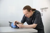 мрежата