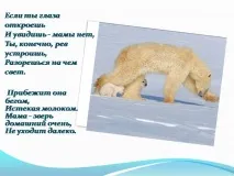 презентация презентация