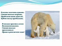 презентация защо