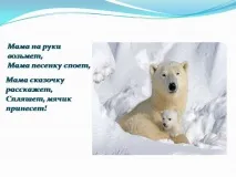 защо имат