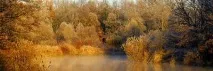Природні пам’ятки Брянської області брянської