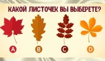 Пройдіть тест і дізнайтеся, яка ви людина у стосунках людина
