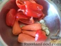 зимата зимата