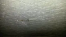Руйнування Ж немає