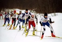 спорту