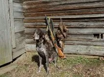 Щороку і собака стріляє вихованці та зброю щороку