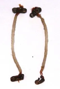 кукла целулоидна
