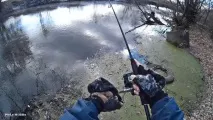 pekhorka балашиха
