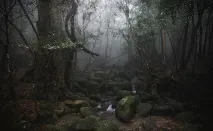 този най-старите