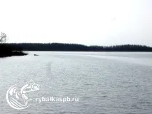 Рибалка на нарвському водосховищі завжди з уловом! Всі озера Ленінградської області та види риби водосховищі