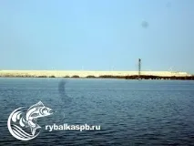 Рибалка на нарвському водосховищі завжди з уловом! Всі озера Ленінградської області та види риби рибалка