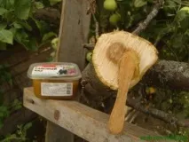 какво какво