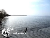 Рибалка на нарвському водосховищі завжди з уловом! Всі озера Ленінградської області та види риби водосховищі