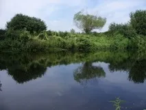 Рибалка на піхорці снасті, приманки, риба снасті