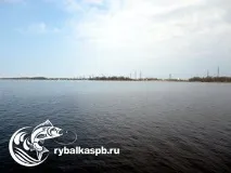 Рибалка на нарвському водосховищі завжди з уловом! Всі озера Ленінградської області та види риби нарвському